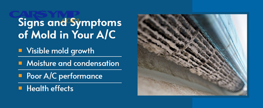 How does a wet or dirty cabin air filter cause musty odor?