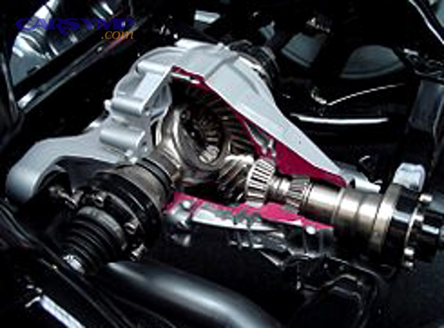 Cutaway view of an automotive final drive and differential