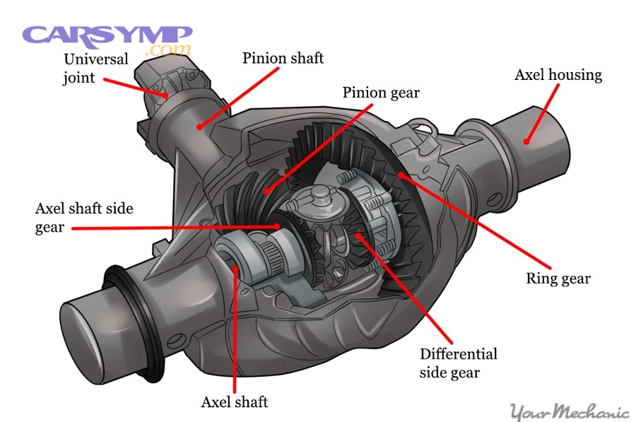 What differential fluid type do you need, and what edge cases change the answer?