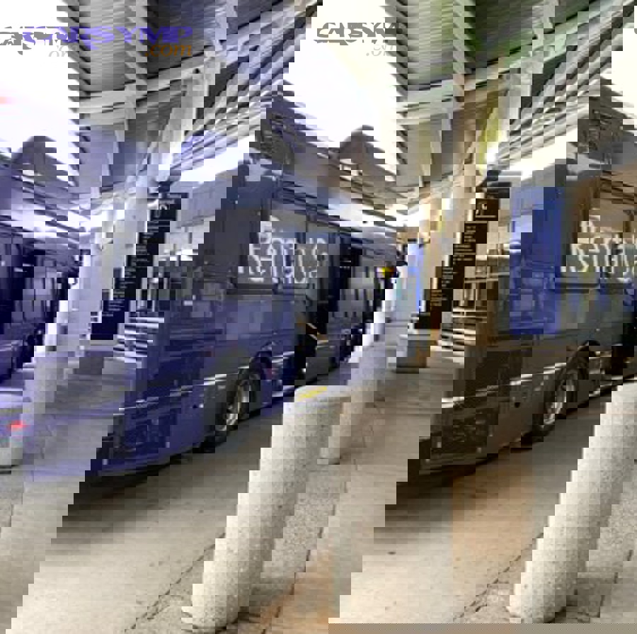 What should you ask and prepare to avoid surprises with either option?