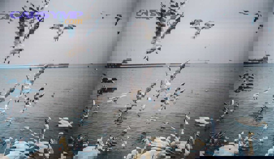 What should you ask before confirming your booking?