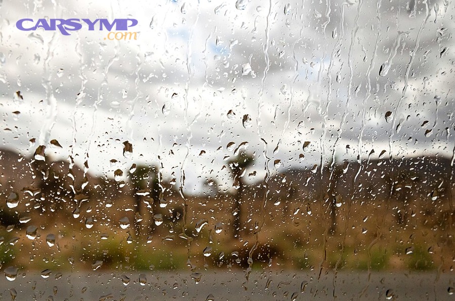 Is the smell coming from the HVAC vents or from damp cabin materials?