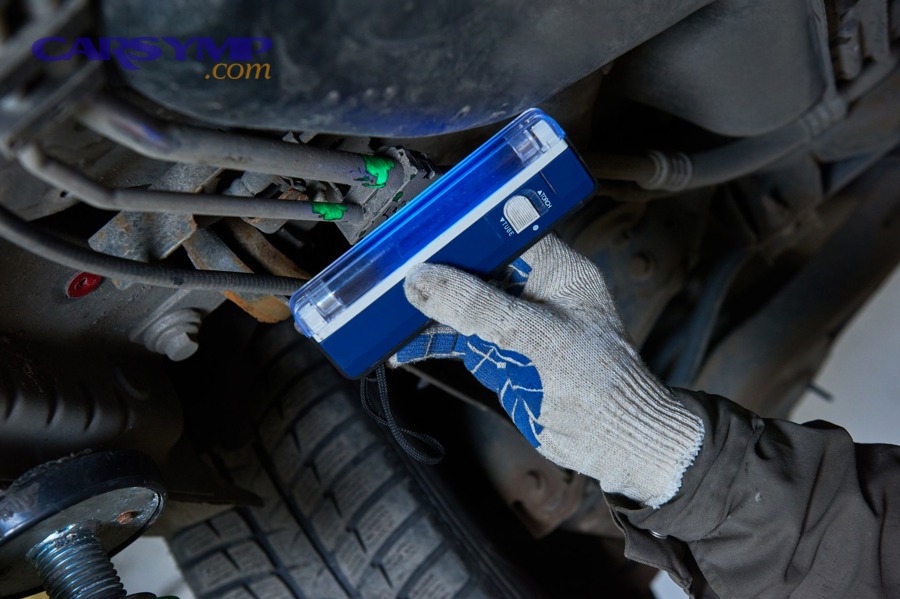 How do luxury cars and performance vehicles differ in common leak points?