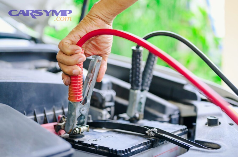 AdobeStock 356162737 scaled 1130x750 ct