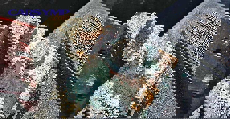 Battery Terminal Corrision1 2