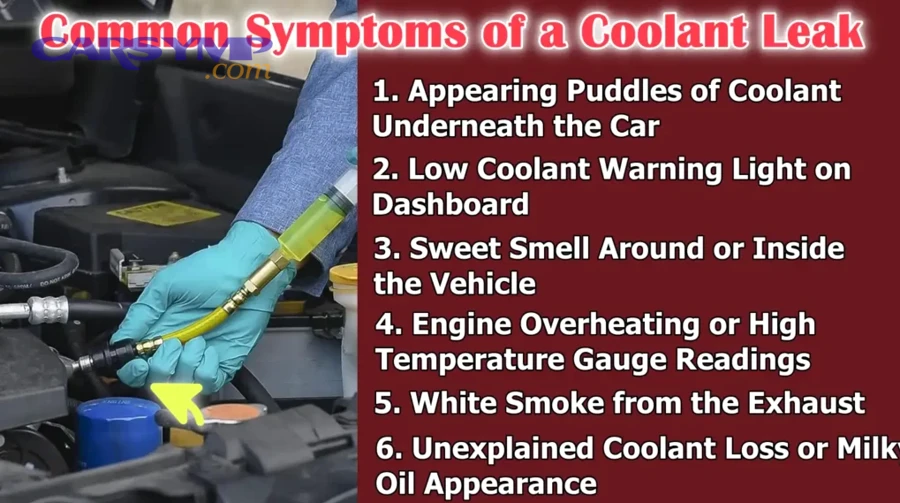 How do you prevent leaks at hoses, clamps, and fittings?
