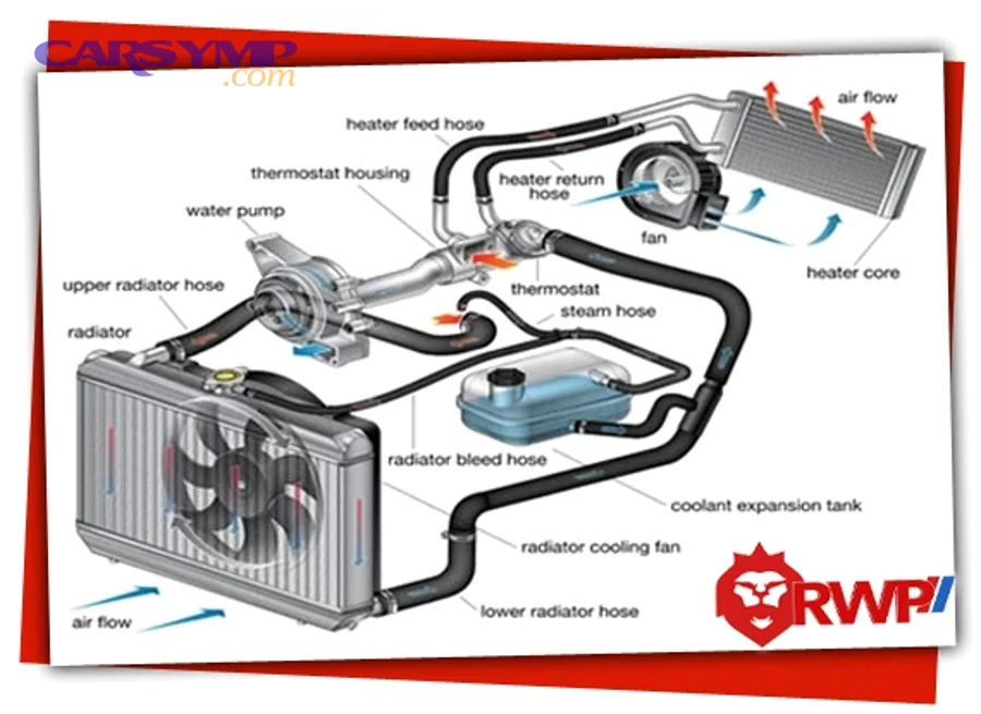 Engine bay overview showing radiator area, hoses, and belt-driven components