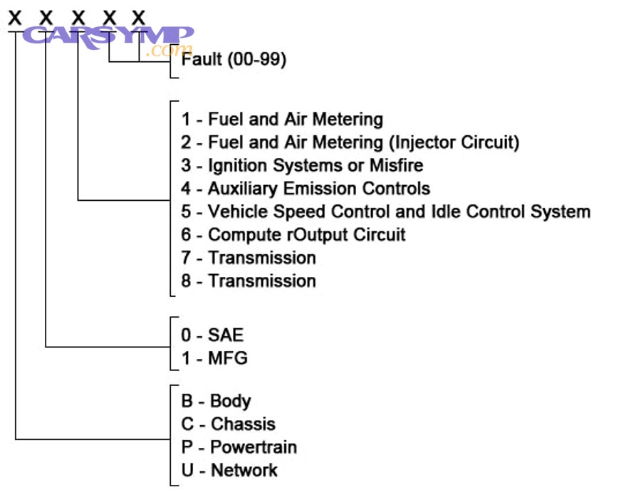 Which code families matter most first, and how should you prioritize them?