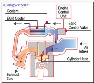EGRProcess