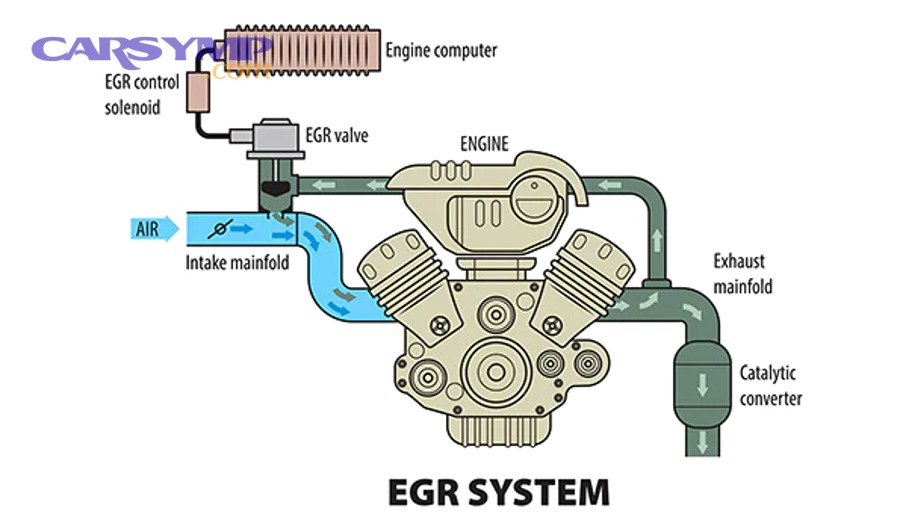 Which common EGR codes (P0400–P0408) show up most often and what do they mean?