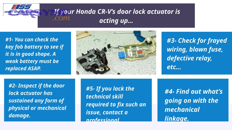 How do you test the electrical path: battery, fuse, wiring, and BCM logic?