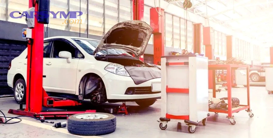 How can you verify reputation without being tricked by reviews?