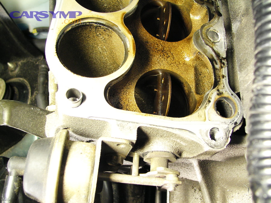 Lower intake manifold example (photo)