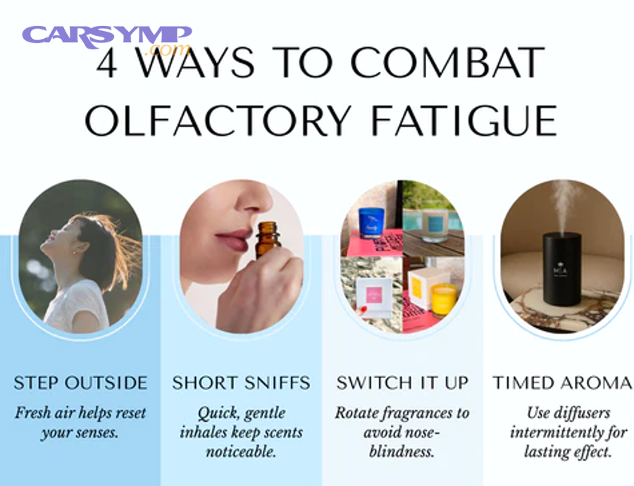 What maintenance routine prevents recurring burning oil odors?