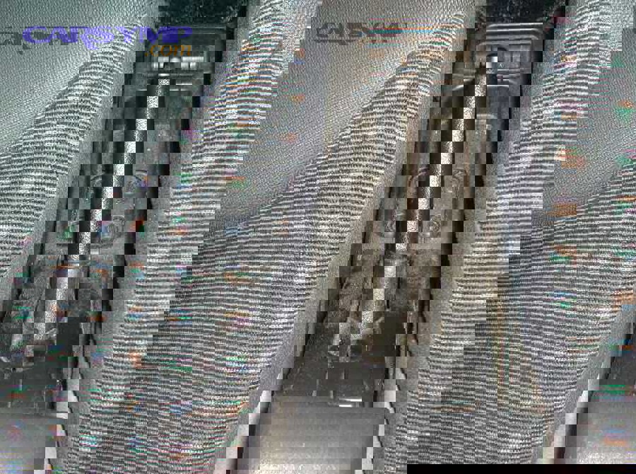 What should you do in the first 60 seconds after the light turns on?