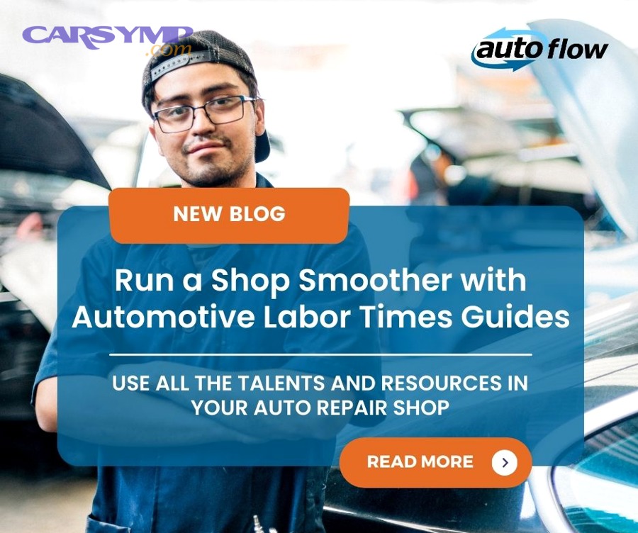 Are reviewers describing the same car, symptom, and constraints you have?