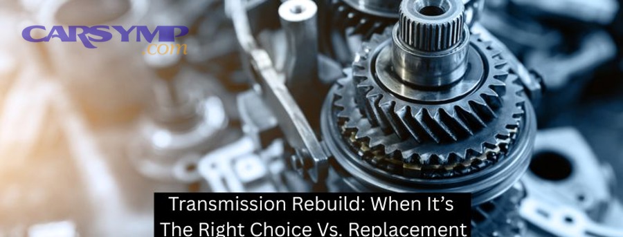 Transmission fluid condition on dipstick example