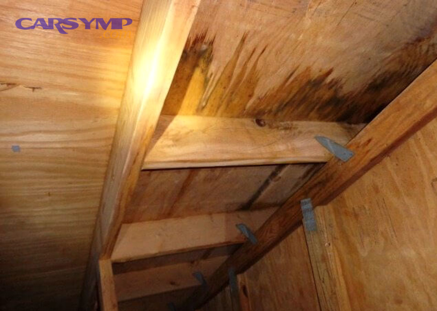 Should you pay for diagnostics or guess the leak source based on symptoms?