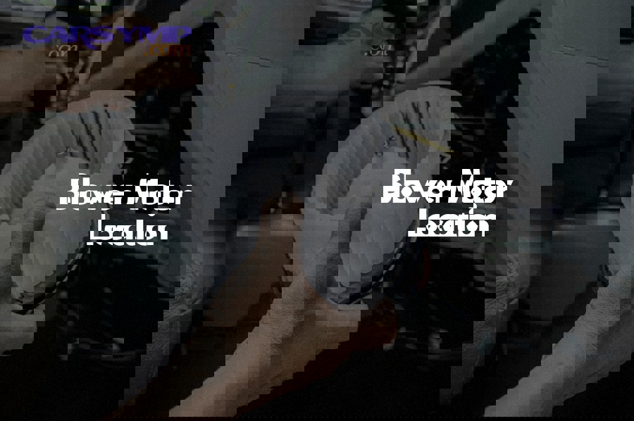 What are the most common access paths by vehicle type?