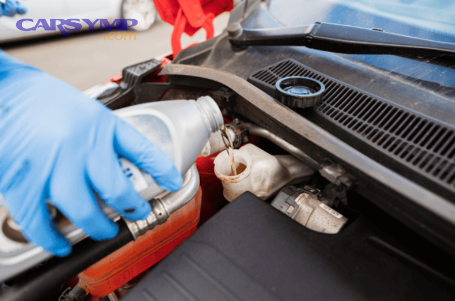 How much does a brake fluid change cost, and what drives the price?