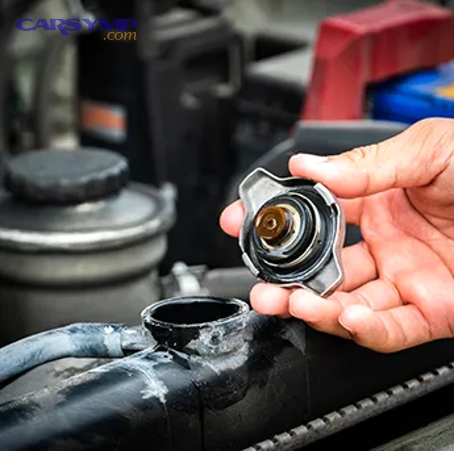 Radiator pressure cap labeled with seals and valve components