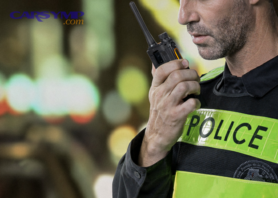 What Are the Main Types of Communication Codes?