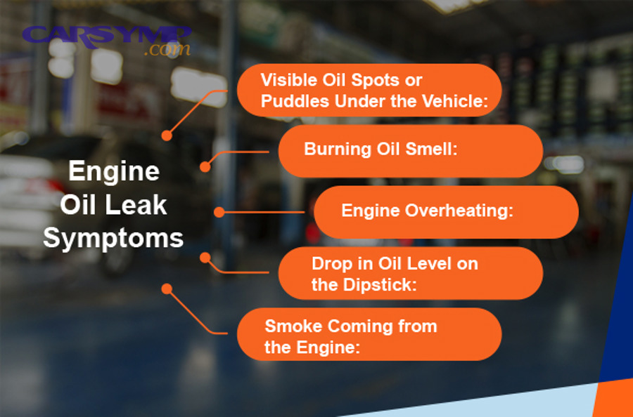 Long-term prevention, verification, and quick answers