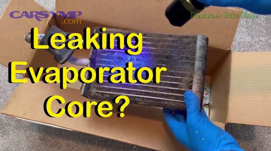 What a professional leak pinpointing workflow looks like, and what it costs