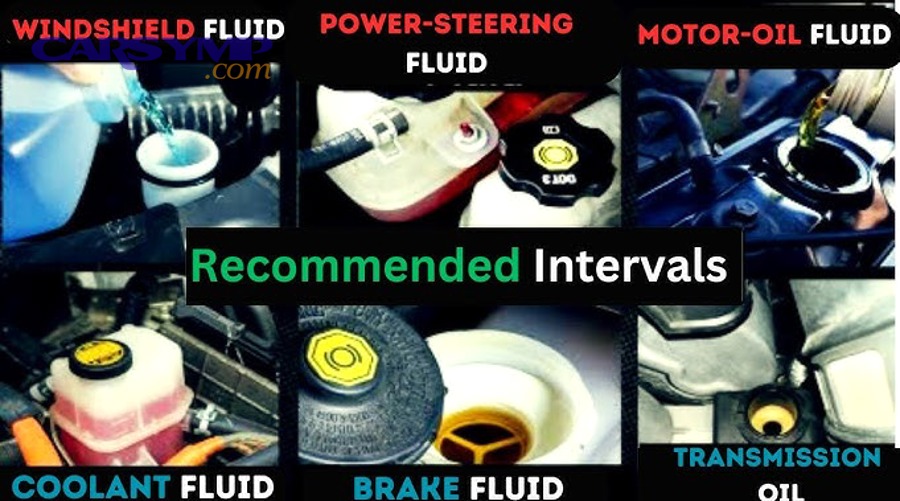 What makes the “right interval” different for DOT 3, DOT 4, and DOT 5.1 systems?