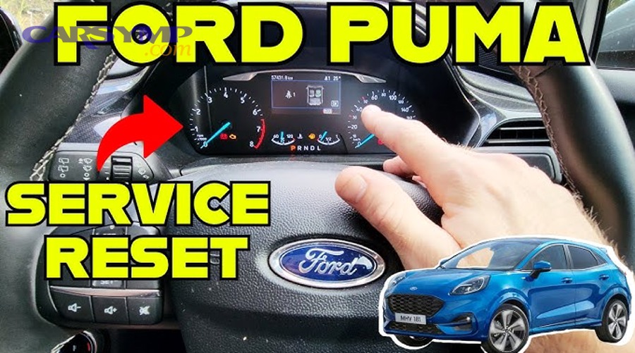 What should you check before and after resetting the oil life light?