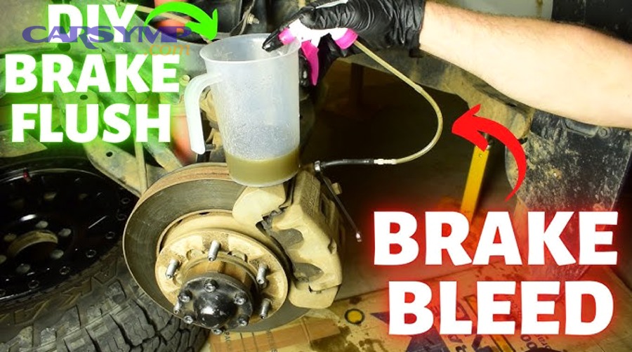 Cooling system hose and clamp in engine bay