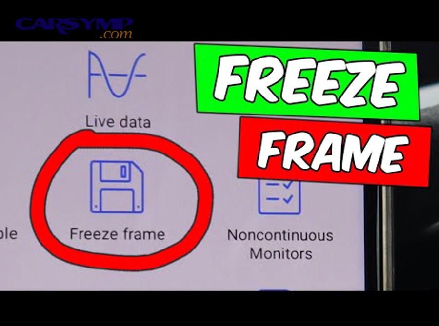 What Are Common Misinterpretations of Freeze Frame Data?