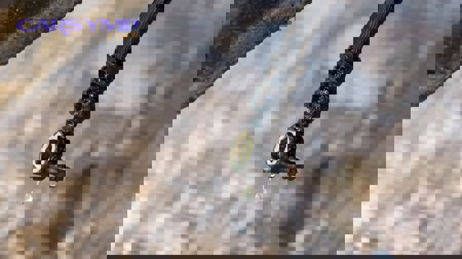 What causes brake hose failure and leaks in real-world driving?