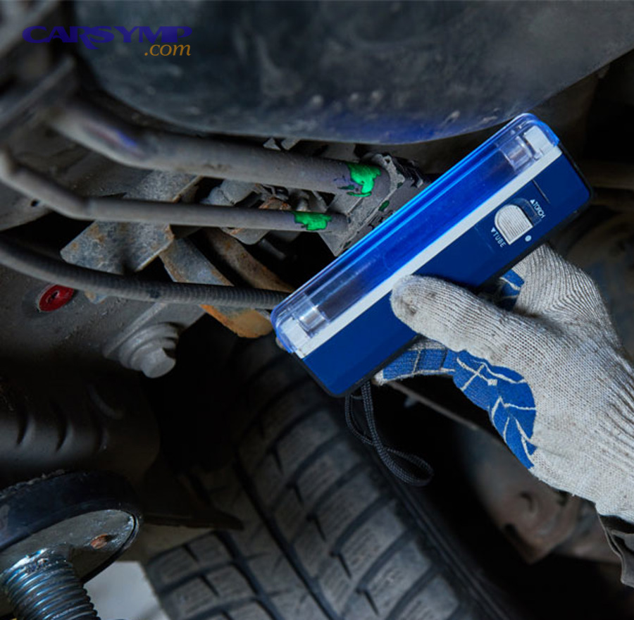 What a professional leak pinpointing workflow looks like, and what it costs