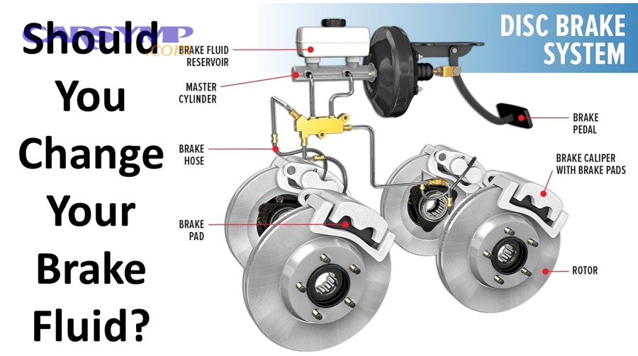 Supplementary: What hidden factors can make your brake fluid interval shorter than expected?