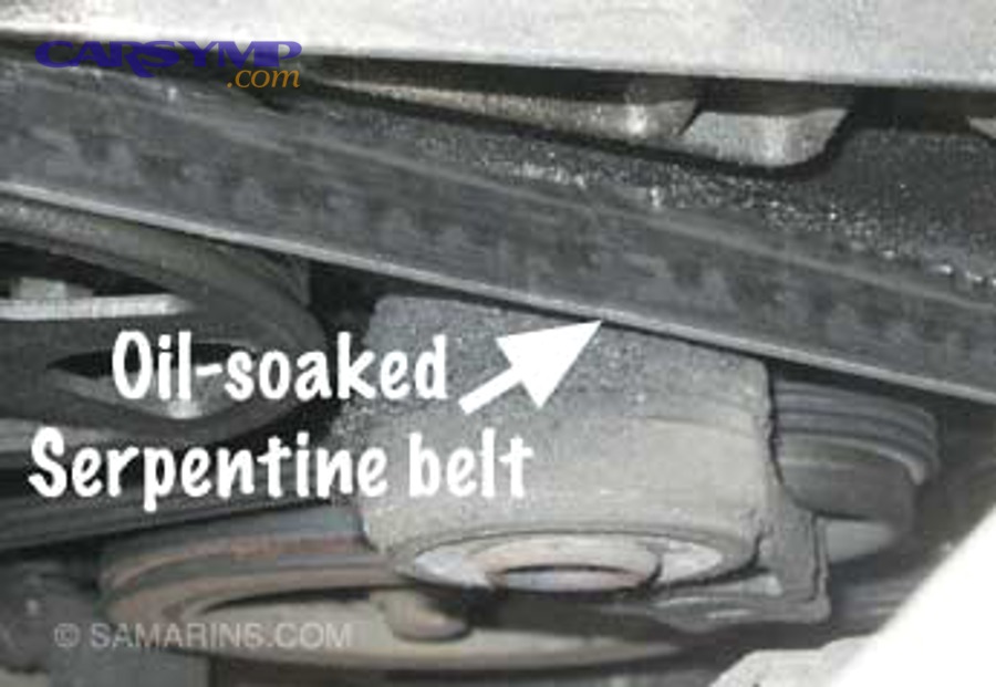 Can oil, coolant, or cleaning products cause sudden serpentine belt squeal?