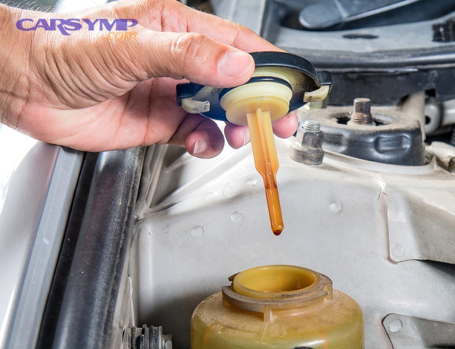 Serpentine belt and pulley system