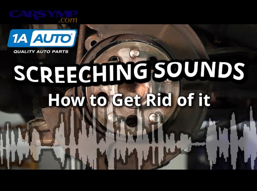 Which brake components commonly cause reverse-only squeal or chirp?