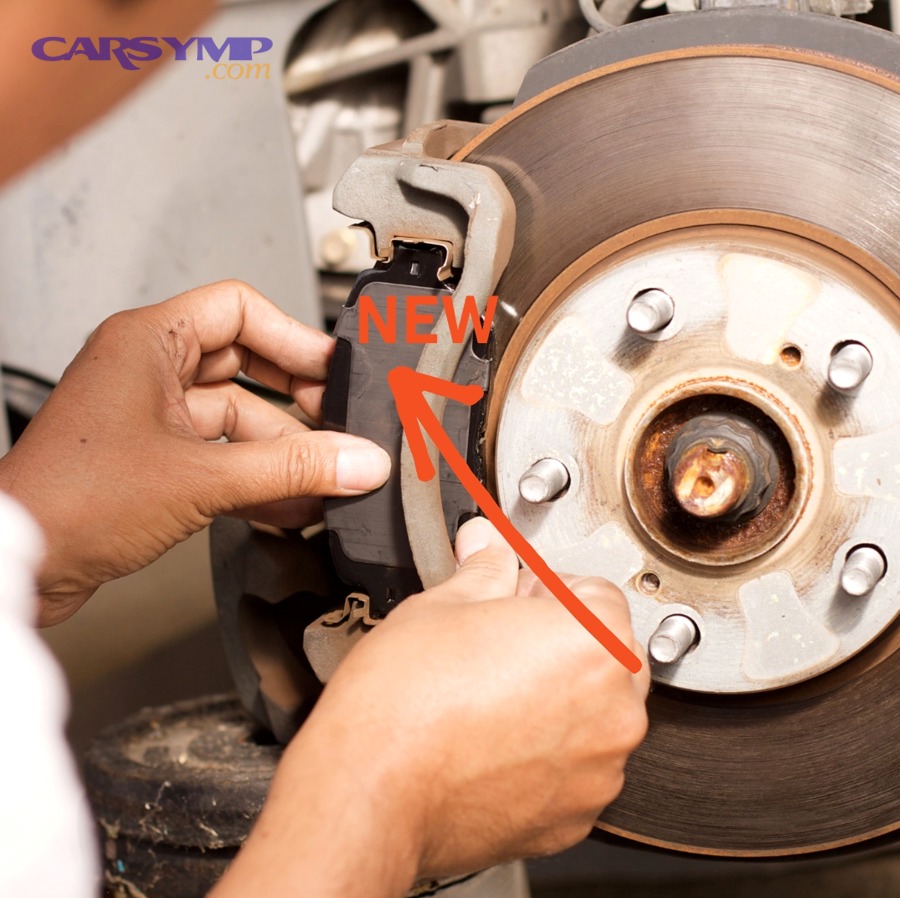 x0JSScMmQqSqKDG2EKnc 1