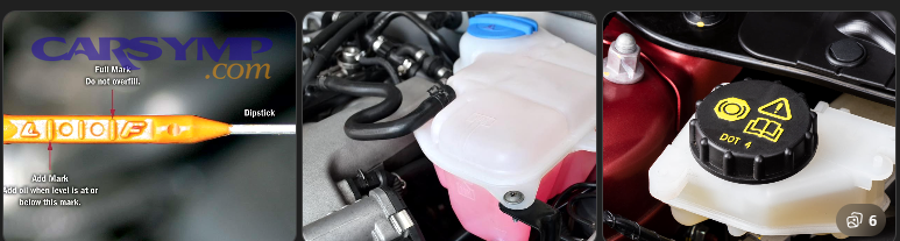 Engine bay inspection during routine car maintenance