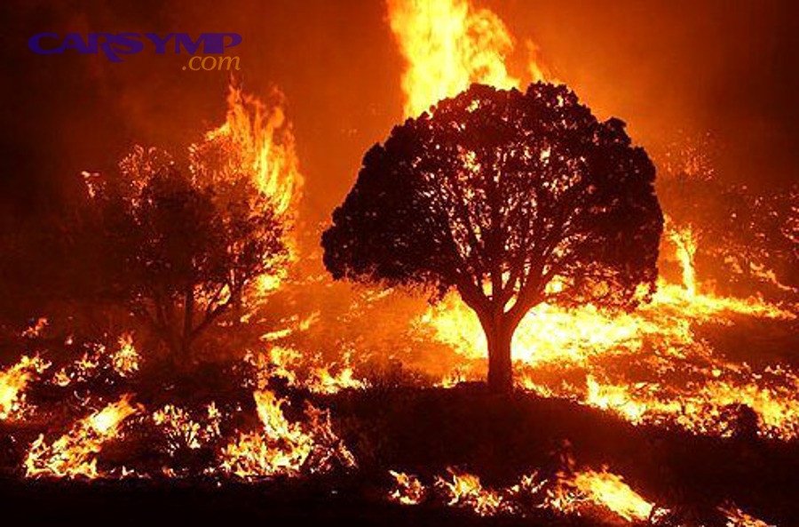 Cooling system bleeding process illustration for removing air pockets