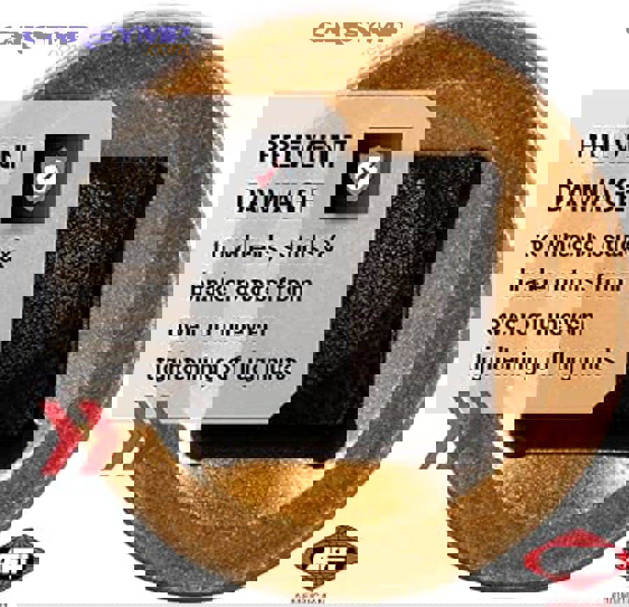 Wheel stud replacement showing press-fit installation into hub assembly