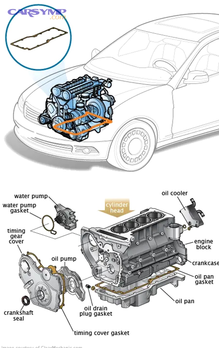Illustration showing engine oil leak-related gaskets including oil pan gasket and other seal locations