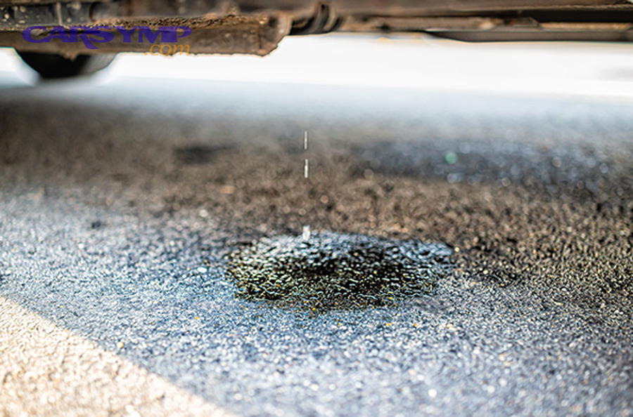 AdobeStock 457556120 copy