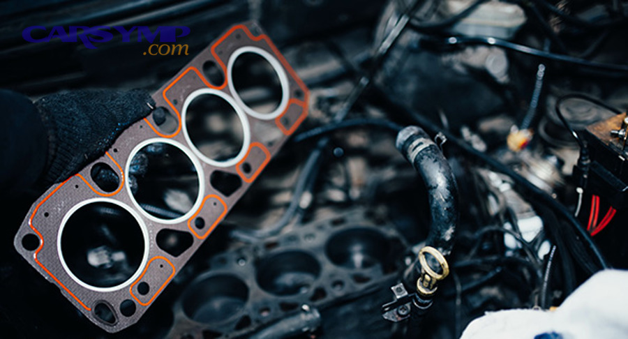 Cylinder head gasket diagram showing cylinder openings and sealing layout