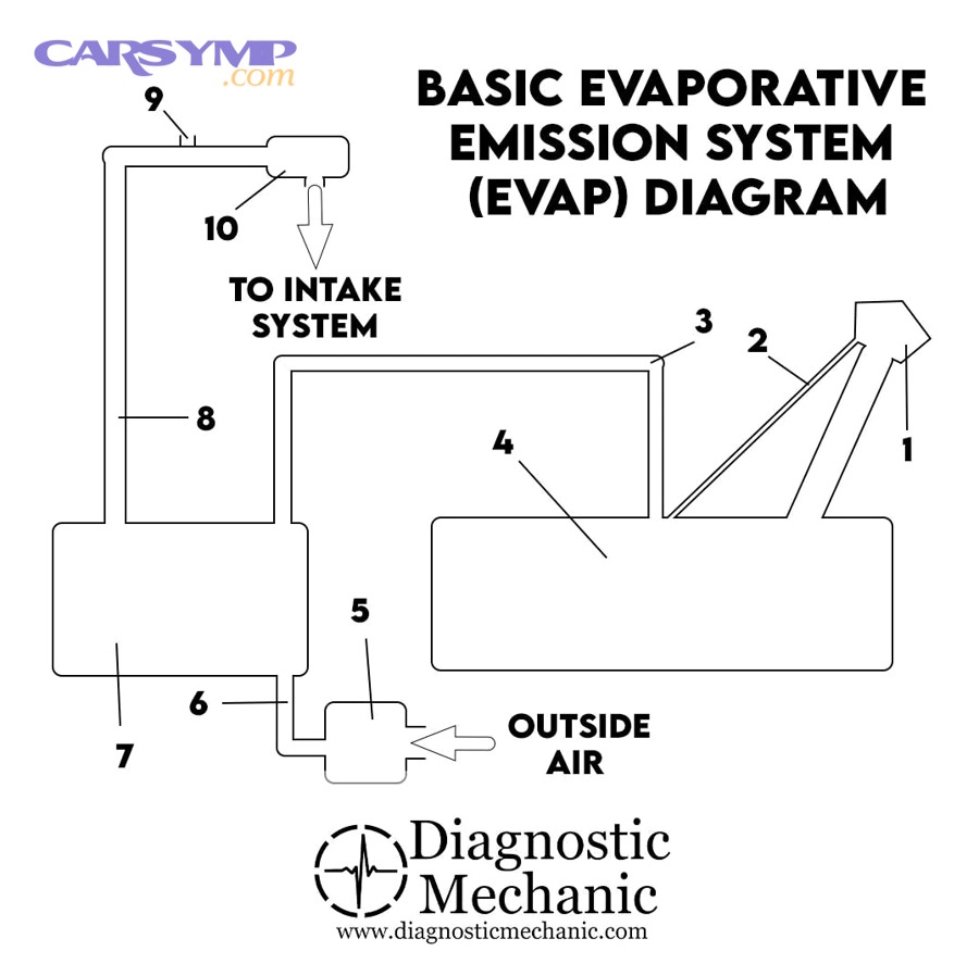 Basic evaporative emission system diagram showing purge and vent flow