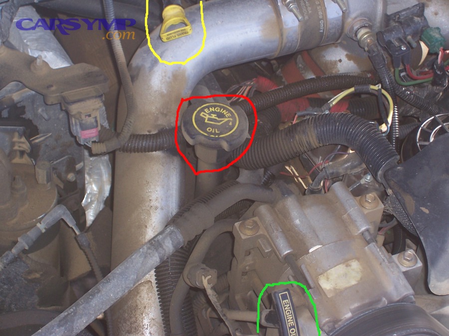 Engine bay showing locations for checking fluids like oil and transmission fluid