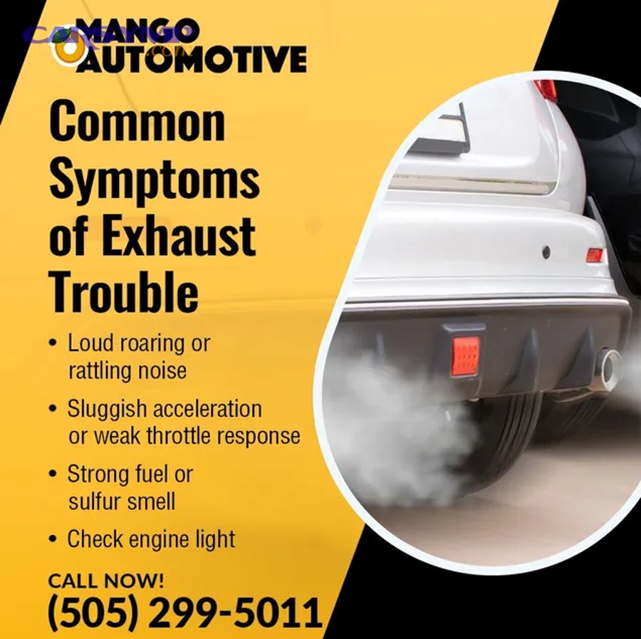 Mango Automotive ALBUQUERQUE 1 ver 1 5 640w