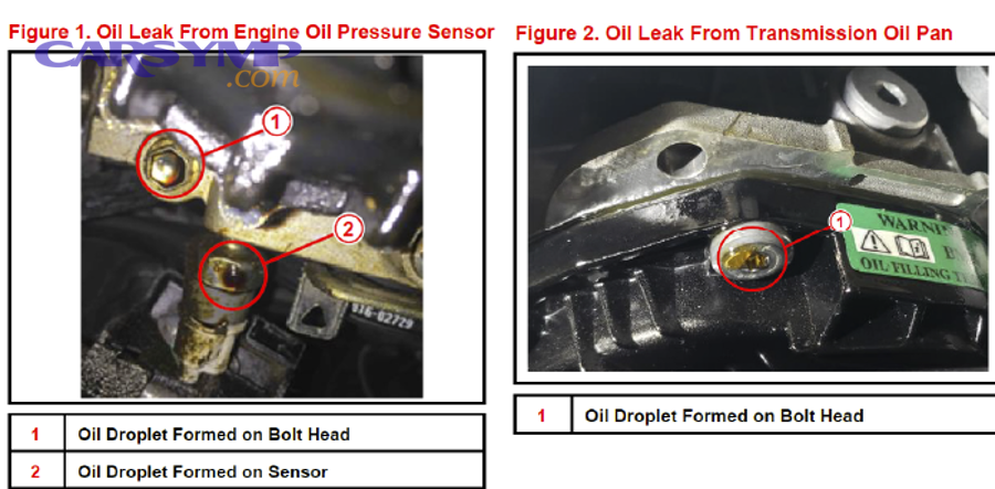 automotive transmission being removed from engine on professional lift