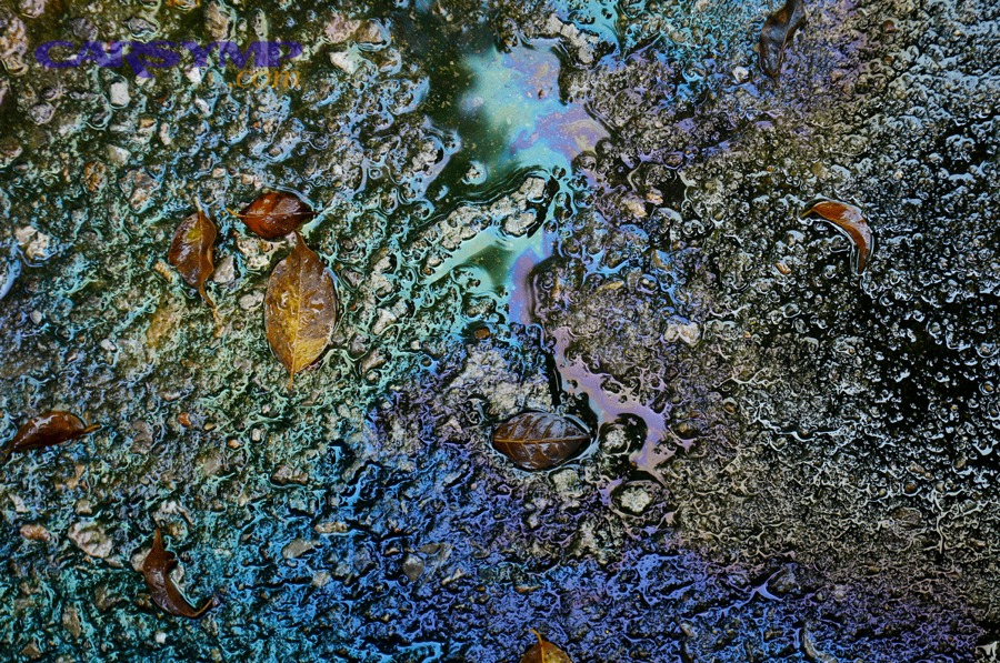 Oil leak around oil filter housing showing wet, dark residue